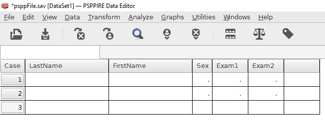 This is the data view with no data entered. It looks somewhat like an Excel spreadsheet.