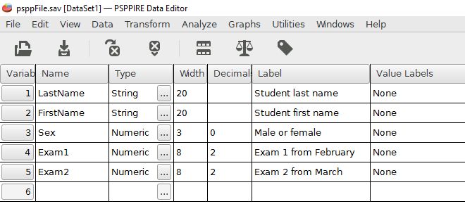 The variable view with updated fields for variable names, type, width, decimals, and label.