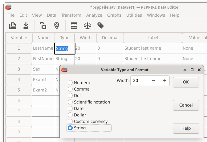 This shows the type variable dialog box with variable type and format settings. The radio button for string is checked so this variable for student name can accept regular alphabet characters.