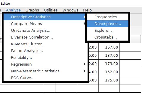 The analyze drop down menu contains options for descriptive statistics like frequencies, descriptives, and cross-tabs.