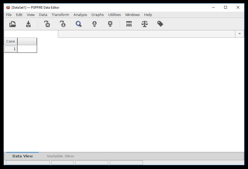 The appearance of PSPP when the program is launched without any data.