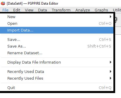 pspp syntax editor