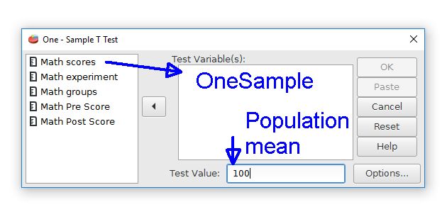 The one sample t test dialog box with the one sample variable chosen. The test value is set to 100.