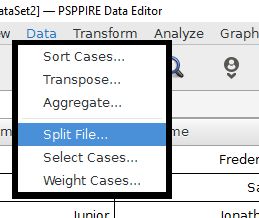 The split file command is in the data drop down menu.