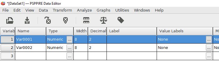 The variable view for configuring the name, type, label, and value labels