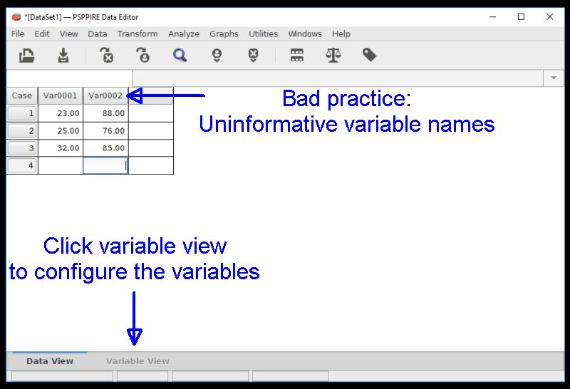 pspp not importing data properly