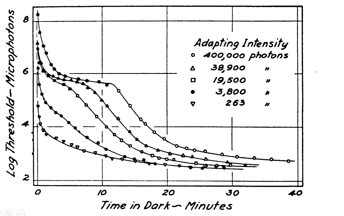 Dark adaptation curve with animation to reveal key points