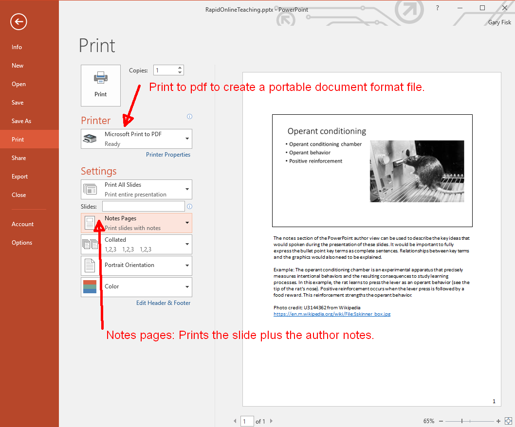 This is the printing view showing the printer (pdf) and slides (notes pages) settings.