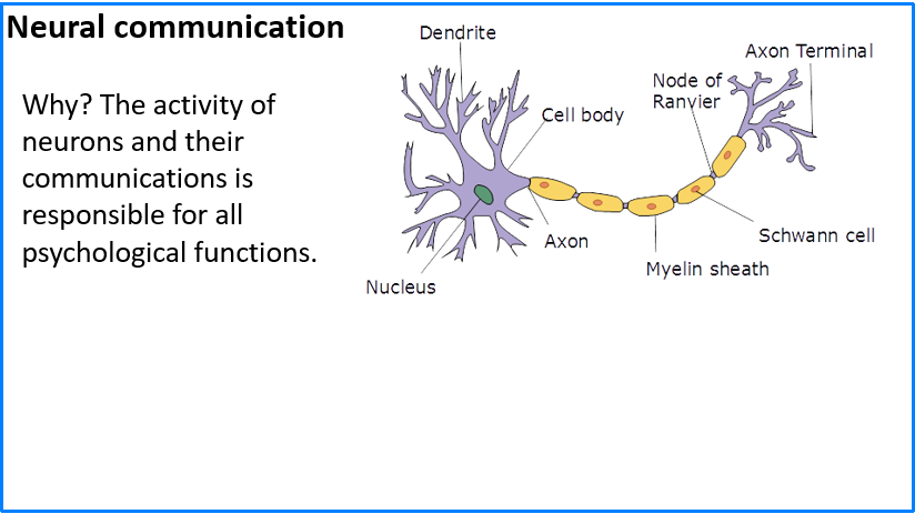 An introductory slide with a one sentence purpose statement
