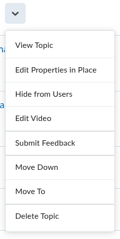 A screenshot of the drop-down menu for videos. "Edit video" is in the middle of the list.